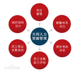 鄭州社保公積金代理、勞務(wù)派遣及人事外包服務(wù)市場概況
